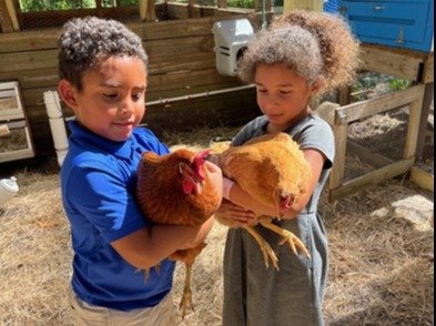 kids with chicken